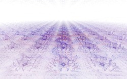 2014 04 12 Scratch 44-white.jpg